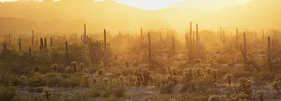 Arizona | Bureau of Land Management