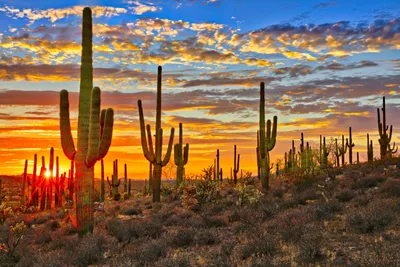 21 Best Places to Visit in Arizona (AZ Bucket List!) - Our Escape Clause