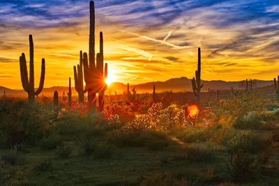 Arizona Hotspots with Unique Settings in the Mountains or by the Water -  Haven Lifestyles