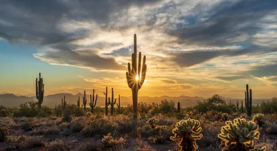 Scottsdale, Arizona Travel – Luxury Spas and More