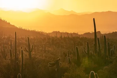 The Most Romantic Getaways in Arizona | Let's Roam