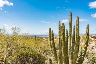 Best Time to Visit Arizona — The Discoveries Of