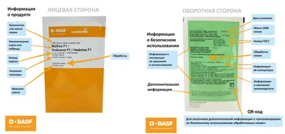 Как будет работать программа по выявлению фальшивых QR-кодов в Красноярске  — Новости Красноярска на 7 канале