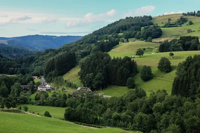 Tour of the Black Forest Germany | Black Forest Tours