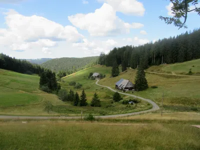 Black Forest Goes Business, Starting Up a Business in Germany's  'Schwarzwald' Region