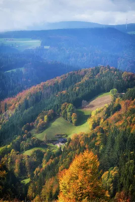 A Micro-Trip To The Black Forest (Schwarzwald), Germany - HIP Edit - HIP  Hotels