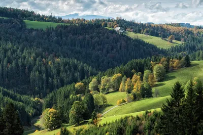 Schwarzwald Black Forest landscape Germany Photograph by Matthias Hauser -  Fine Art America