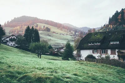 Premium Photo | Landscape in the schwarzwald region in southwestern germany