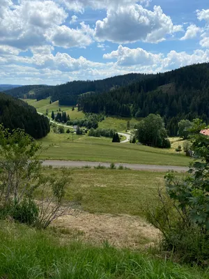 Germany, Baden-Württemberg, Schwarzwald, Woodland, Feldberg in background  stock photo
