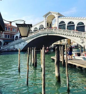 Как на сибирской лиственнице Венеция строилась? | Италия для меня | Дзен