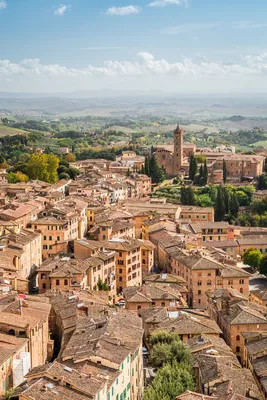 8 Best Things To Do in Siena, Italy (Ultimate Travel Guide)