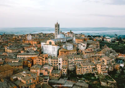 An Insider's Guide to the Best Things to Do in Siena | solosophie