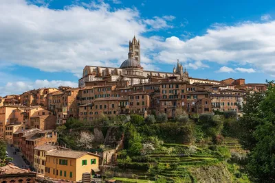 Katherine Baxter | Illustrated Maps-Map of Siena Italy