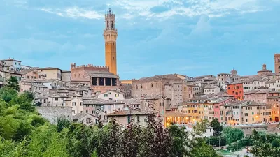Siena Travel Guide - Tourist Italy