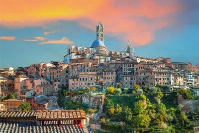 Snapshots of Siena, Italy - Alison Chino