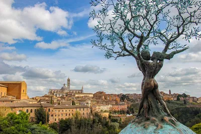 How to get to Siena, Italy:
