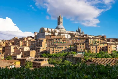 Siena travel - Lonely Planet | Tuscany, Italy, Europe
