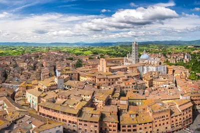 Snapshots of Siena, Italy - Alison Chino