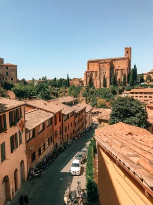 Introduction to Siena Tour with the Duomo | Context Travel - Context Travel