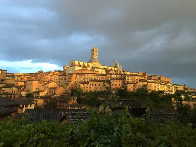 Best Time to Visit Siena: Weather and Temperatures. 3 Months to Avoid! -  Italy - Where And When