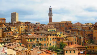 Scenic Day Trip to Siena from Florence, Italy | A Happy Passport