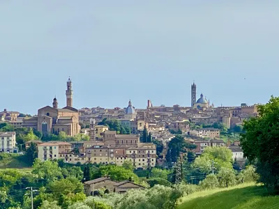 Palio, Siena, Italy, Day to Night - Holden Luntz Gallery