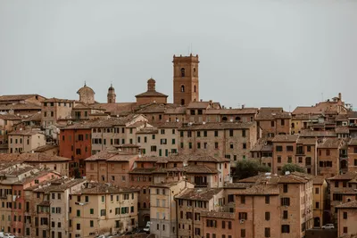 7 Unmissable Things to Do in Siena, Italy