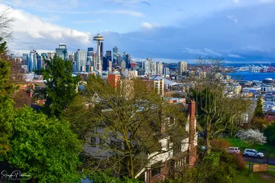 Look Before You Book: A Sustainable Travel Guide to Seattle, Washington |  Brightmark