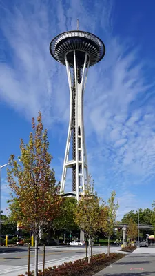 Сиэтл (Seattle) | Турнавигатор