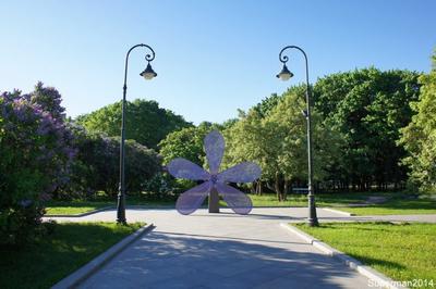 Сиреневый сад измайловский парк (74 фото) - 74 фото