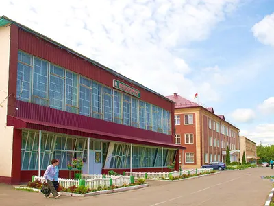 Славгород (Белоруссия) — Википедия