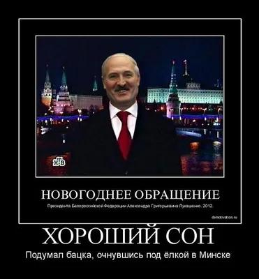 Сон Лукашенко - Константин Белик™ | Смешные сообщения в tumblr, Политика  юмор, Шутки