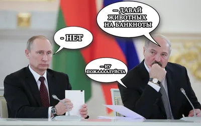 Смешные мемы недели: Порошенко – президент России, \"Мертвые пчелы\" от  Зиброва по-футбольному - 24 Канал