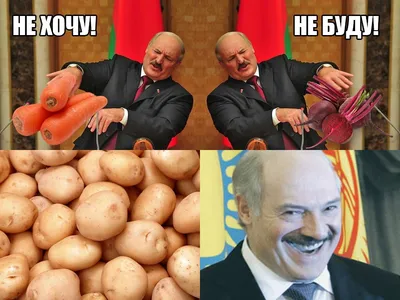 Жириновский о Лукашенко. Смешное видео | интересные новости.дзен | Дзен