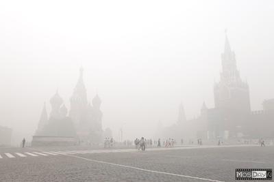 Смог в Москве: повторится ли аномалия 2010 года - Рамблер/новости