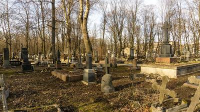 Смоленское лютеранское кладбище — Википедия