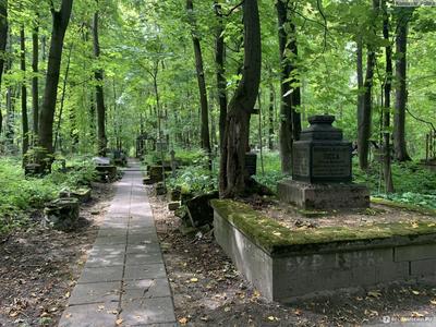 Экскурсия Старейший некрополь Петербурга: гуляем по Смоленскому кладбищу -  цена 4500 ₽