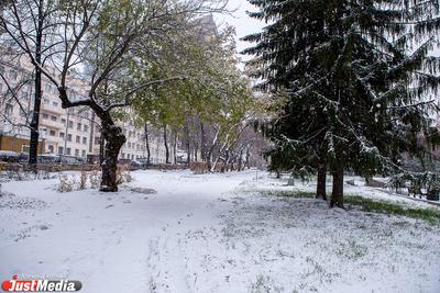 В Екатеринбурге выпал первый снег 21 сентября 2020 года - JustMedia.ru,  21.09.2020