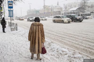 Остается ехать за рулем и плакать» — горожане пожаловались на снегопад в  Екатеринбурге