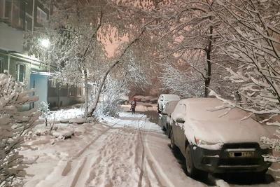 Екатеринбург засыпало снегом в ночь на 14 ноября | Уральский меридиан