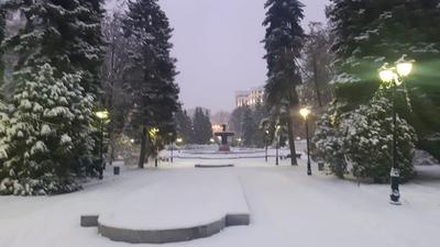 Снегопад в Екатеринбурге 6 мая 2022 - KP.RU