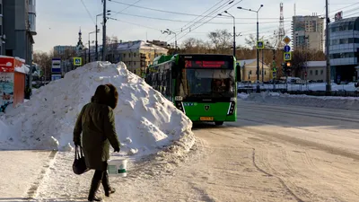 Екатеринбург заполонили гигантские пенисы из снега