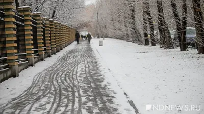 Волшебные моменты: Снегопад в Екатеринбурге на фото | Снег в екатеринбурге  сегодня Фото №1377220 скачать