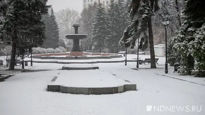 Снег: последние новости на сегодня, самые свежие сведения | Е1.ру - новости  Екатеринбурга