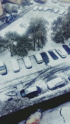 Погода в Екатеринбурге в ноябре 2022: мокрый снег и несколько «дней  жестянщика» - KP.RU