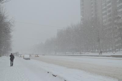 В Екатеринбурге из-за снегопада активизировались службы благоустройства:  Общество: Облгазета