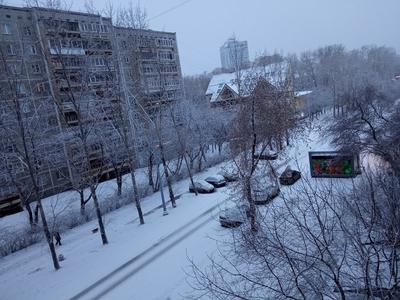 Бьём рекорды: в Свердловской области такого количества снега не выпадало с  2002 года - ВЕДОМОСТИ Урал - Новости Екатеринбурга и Свердловской области  сегодня