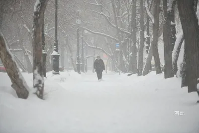 В Екатеринбурге выпал первый снег - РИА Новости, 20.10.2023