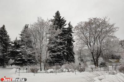 В Сети появились кадры с последствиями аномального снегопада в Екатеринбурге