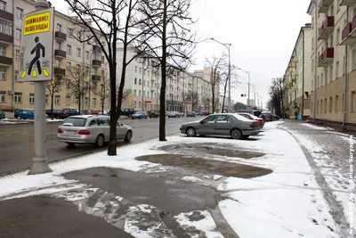 Фотофакт. В Минске в разгар весны выпал снег